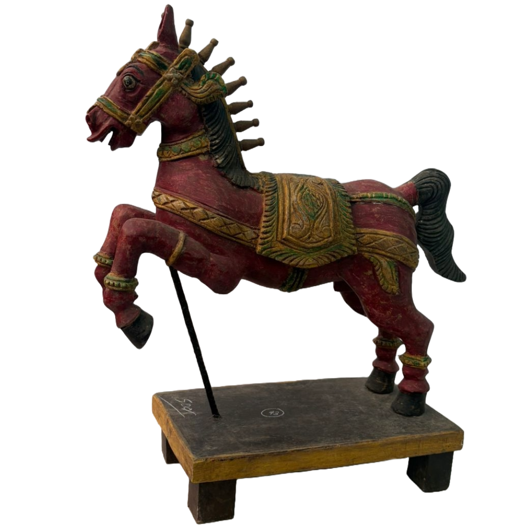 Resize image project (41)